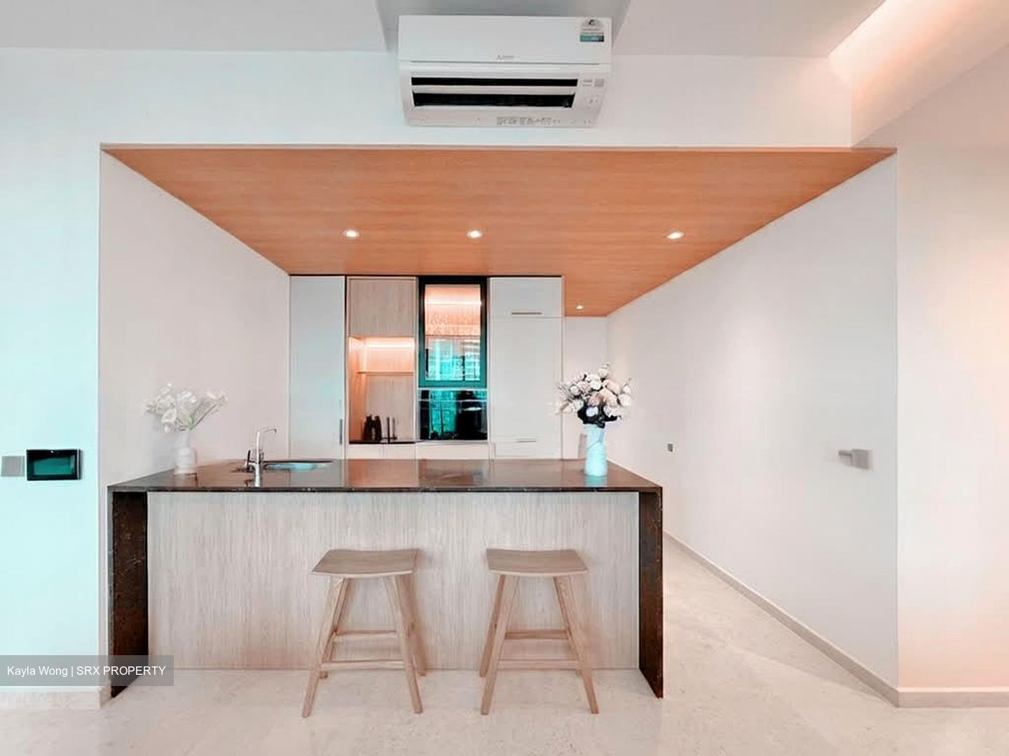 Kopar At Newton (D9), Apartment #553775361